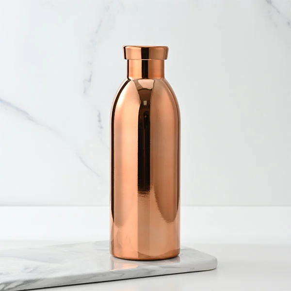 Boccetta isolata sottovuoto in acciaio inossidabile da 500 ml